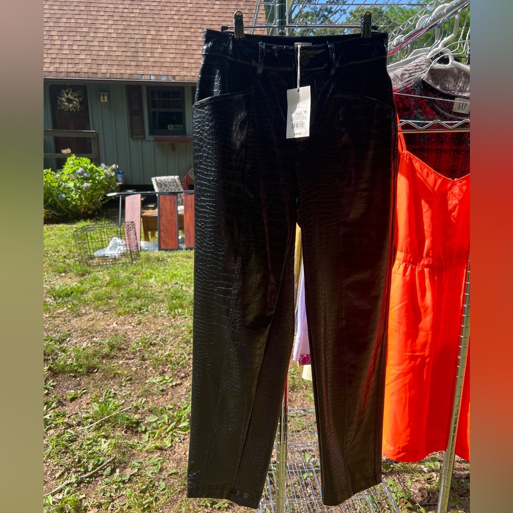 Snake skin pleather pants